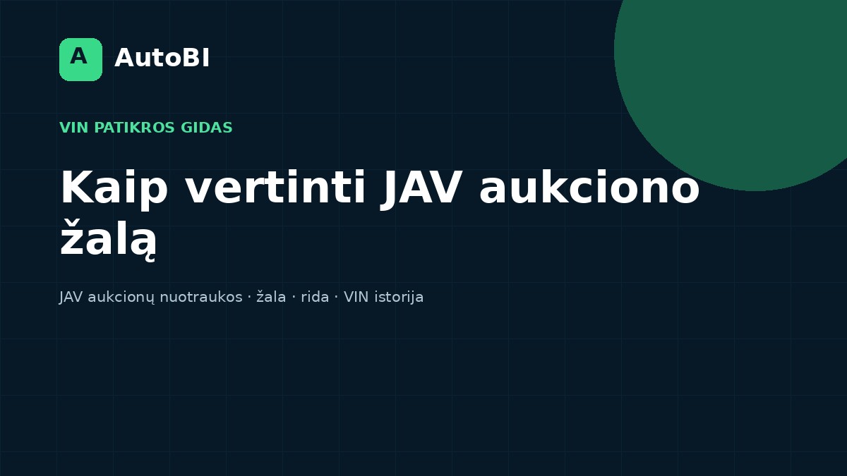 Kaip vertinti JAV aukciono žalos tipą ir nuotraukas