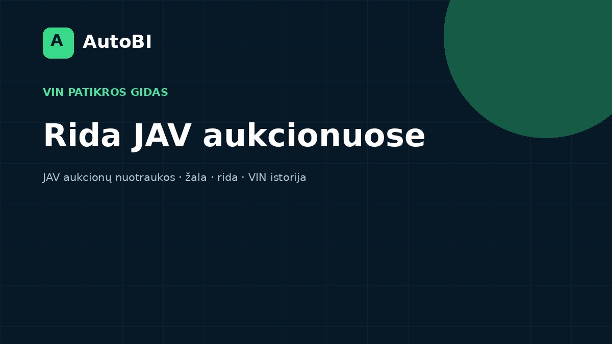 Rida JAV aukcionuose: kaip ją skaityti ir palyginti